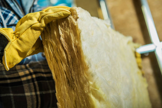 Best Eco-Friendly Insulation in Naples Park, FL