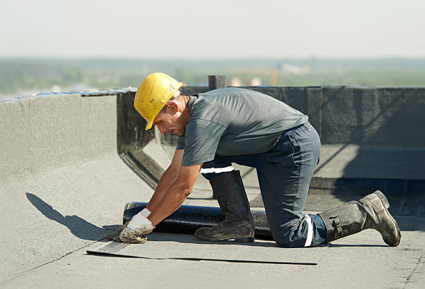 Best DIY Insulation Kits and Guidance in Naples Park, FL