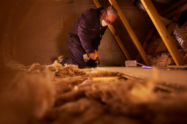 Best Residential Insulation in Naples Park, FL